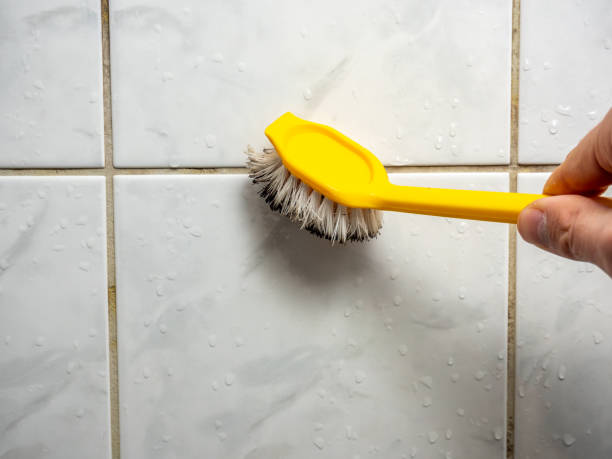 Office Mold Removal Services in Ocean Bluff Brant Rock, MA