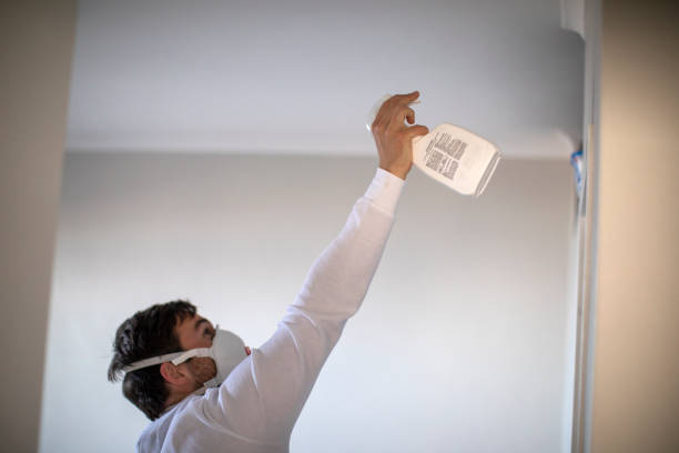 Best Attic Mold Removal  in Ocean Bluff Brant Rock, MA